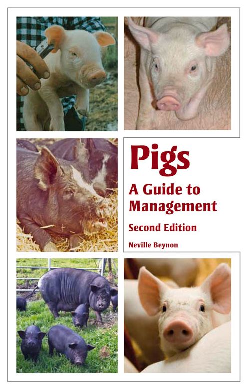Pigs : A Guide to Management