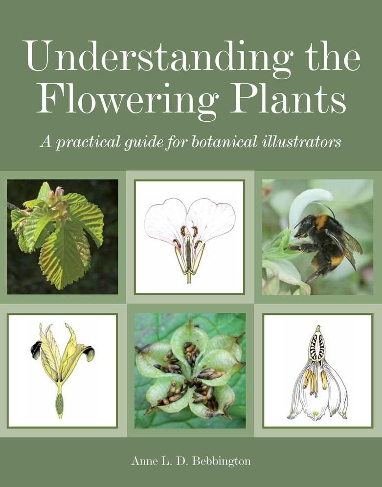 Understanding the Flowering Plants: A Practical Guide for Botanical Illustrators