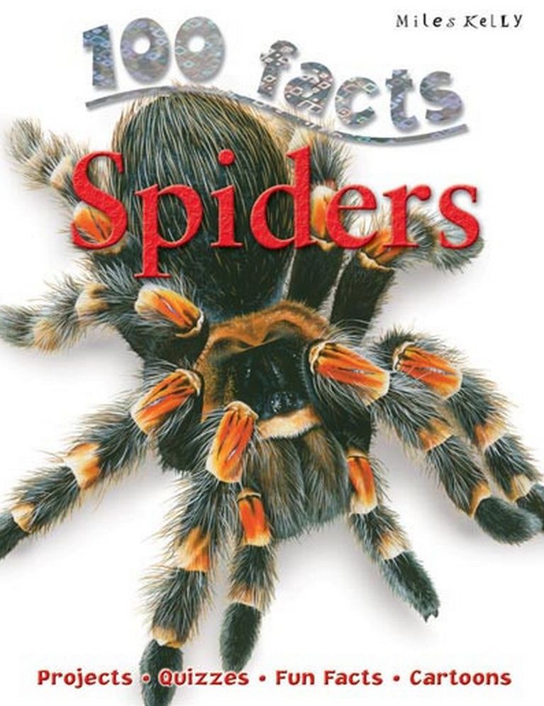 100 facts SPIDERS