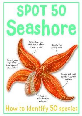 Spot 50 Seashore. Camilla de La Brdoyre