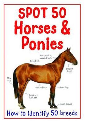 Spot 50 Horses & Ponies. Camilla de La Bdoyre