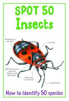 Spot 50 Insects. Camilla de La Bedoyere
