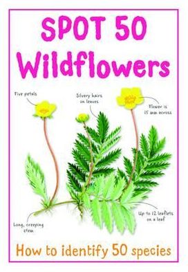Spot 50 Wildflowers. Camilla de La Bedoyere