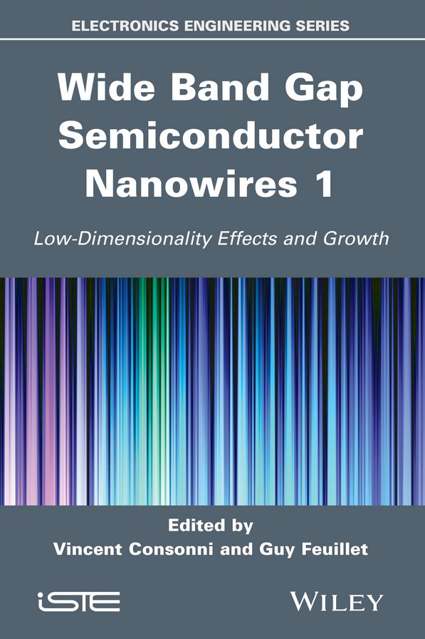 Wide Band Gap Semiconductor Nanowires for Optical Devices : Gan and Zno Case
