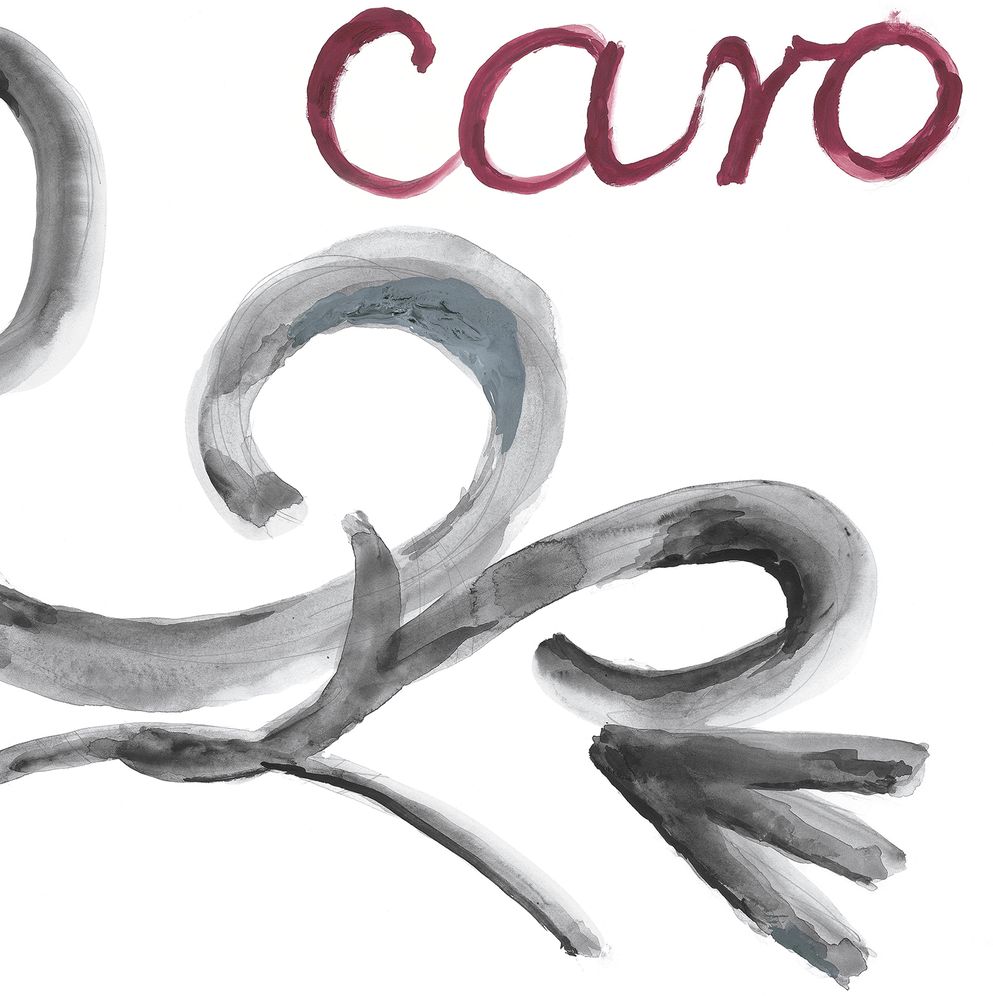 Anthony Caro 5-Volume Boxed Set: The Definitive Series on the Sculpture of Anthony Caro