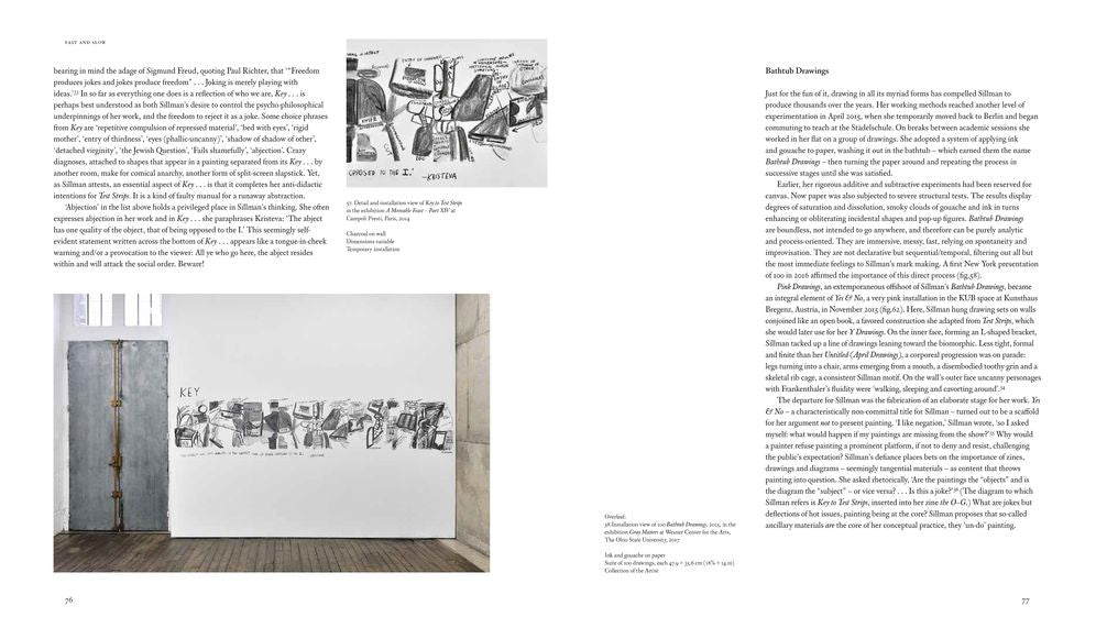 Amy Sillman