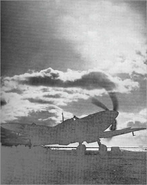 Sea Flight: A Fleet Air Arm Pilot's Story