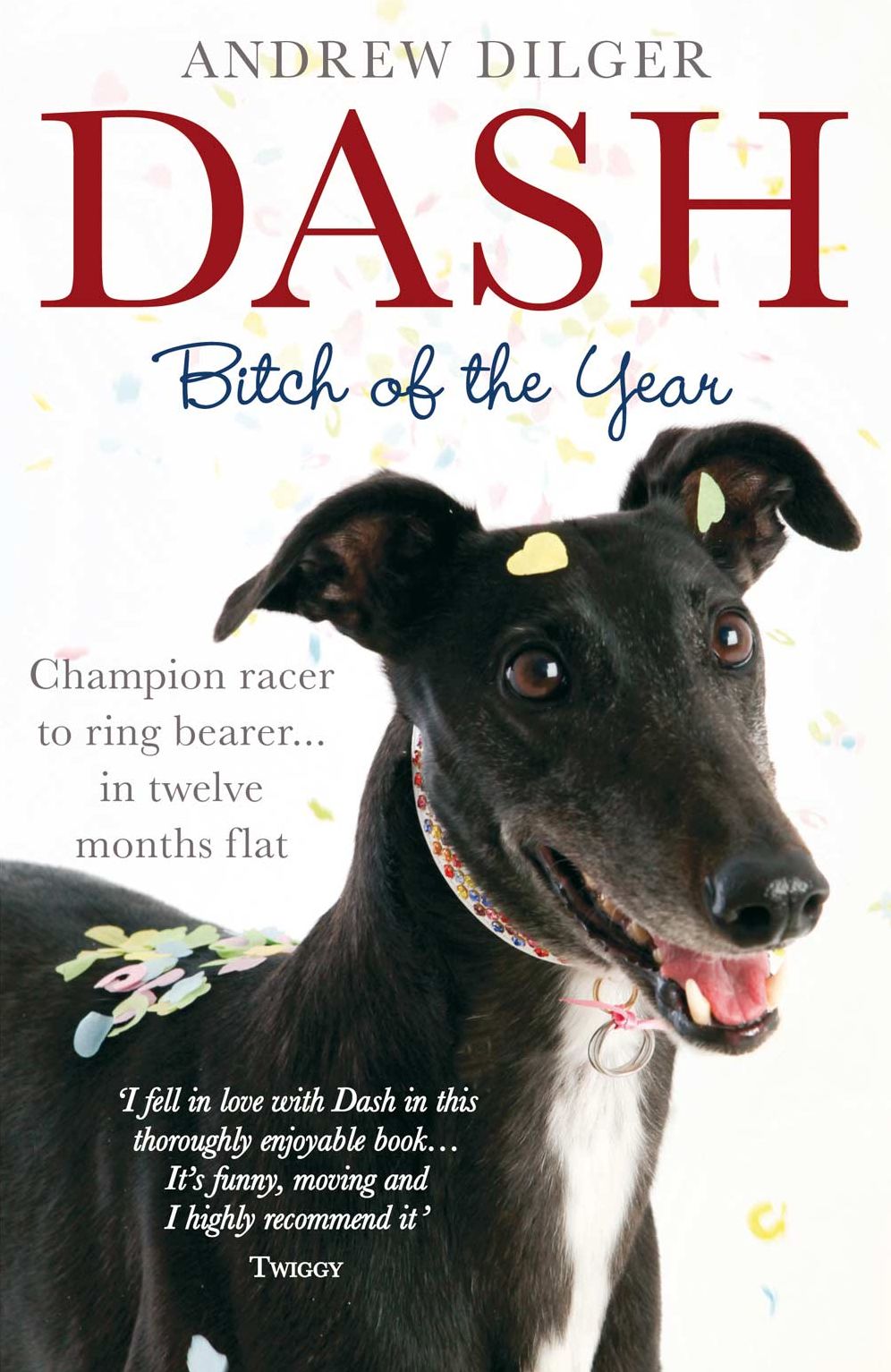 Dash: Bitch of the Year