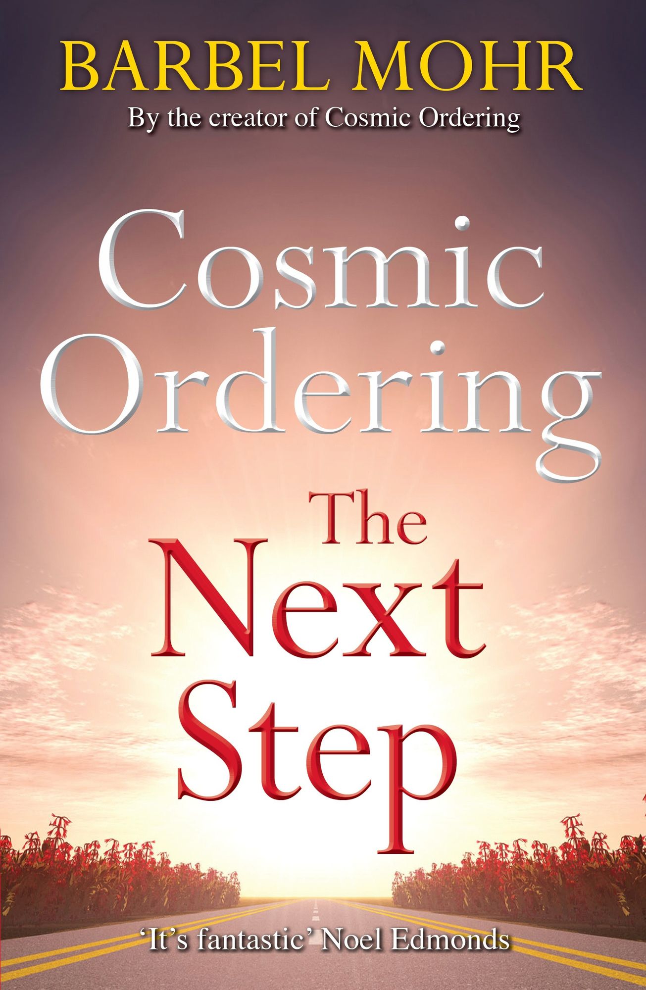 Cosmic Ordering: The Next Step - The New Way to Shape Reality Through the Ancient Hawaiian Technique of Ho'oponopono