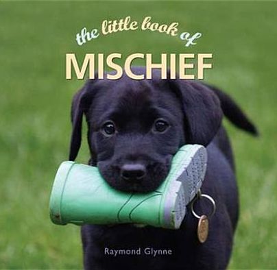 Little Book of Mischief