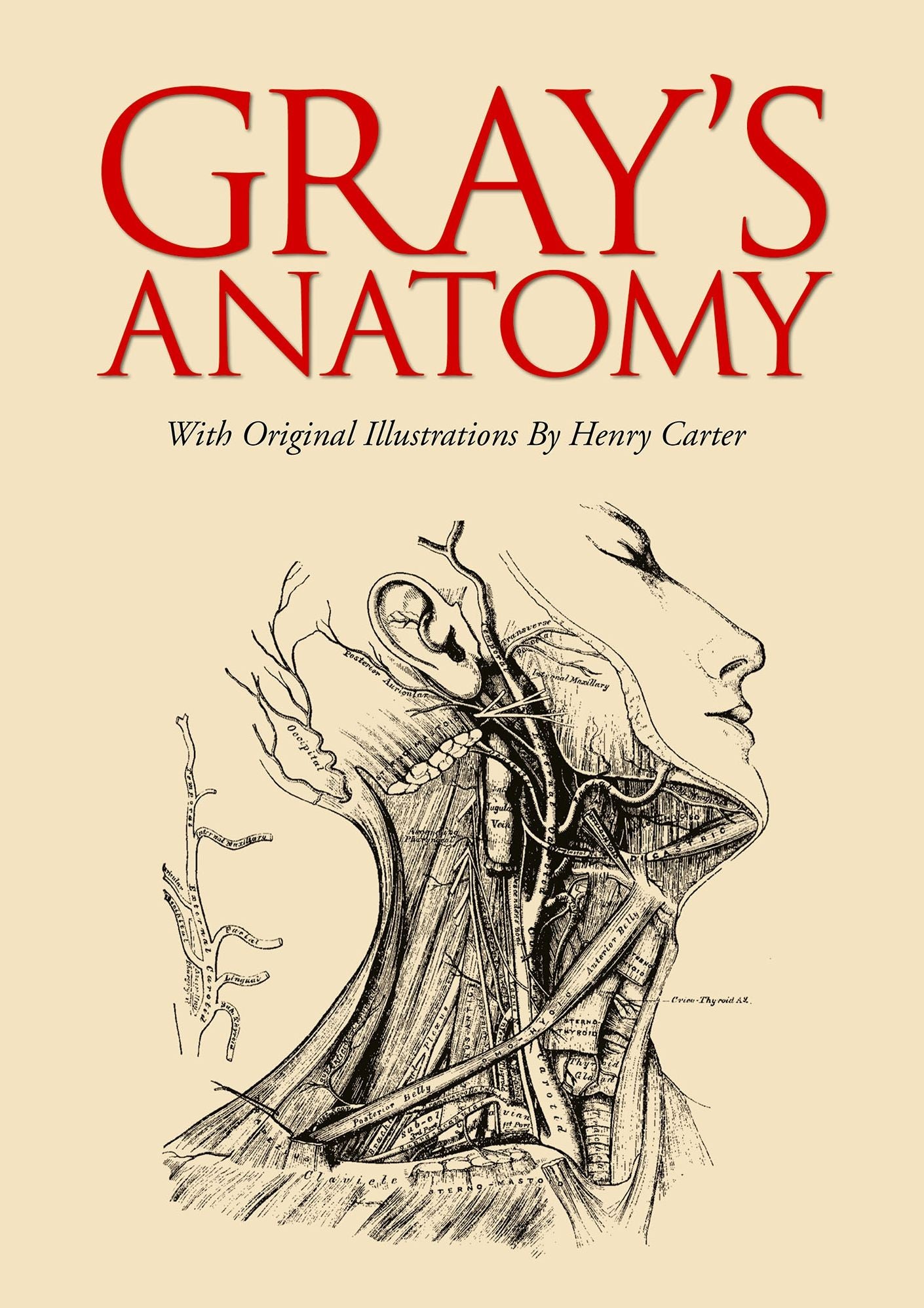 Gray's Anatomy: With original illustrations by Henry Carter