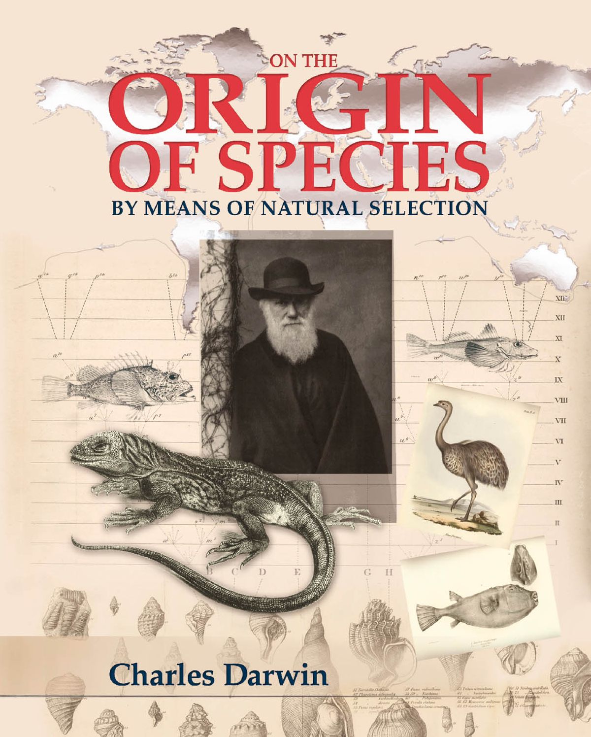 On the Origin of the Species: Slip-Cased Edition