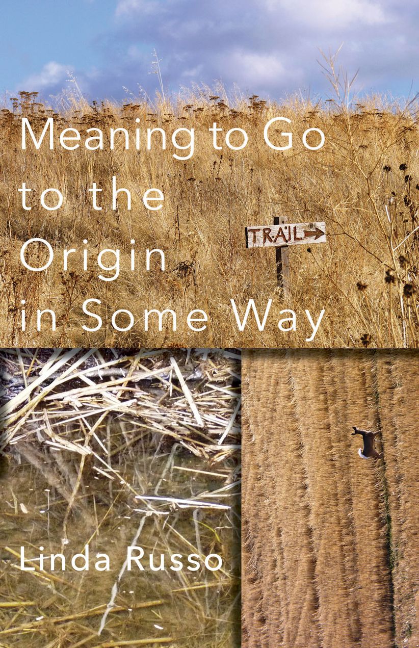 Meaning to Go to the Origin in Some Way