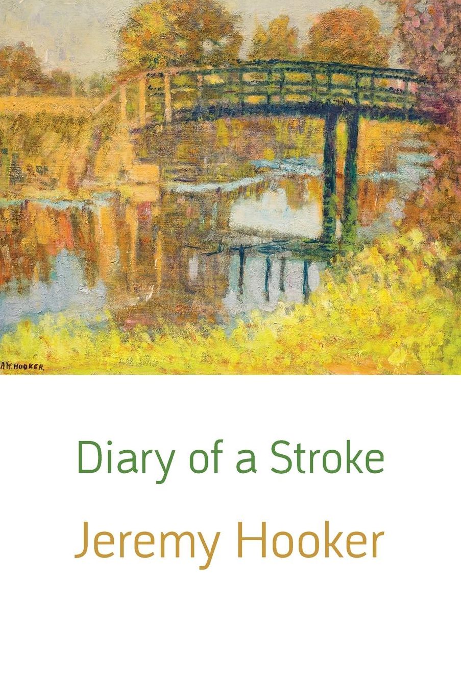 Diary of a Stroke