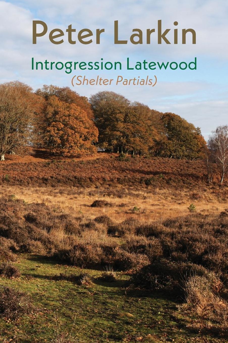 Introgression Latewood: Shelter Partials
