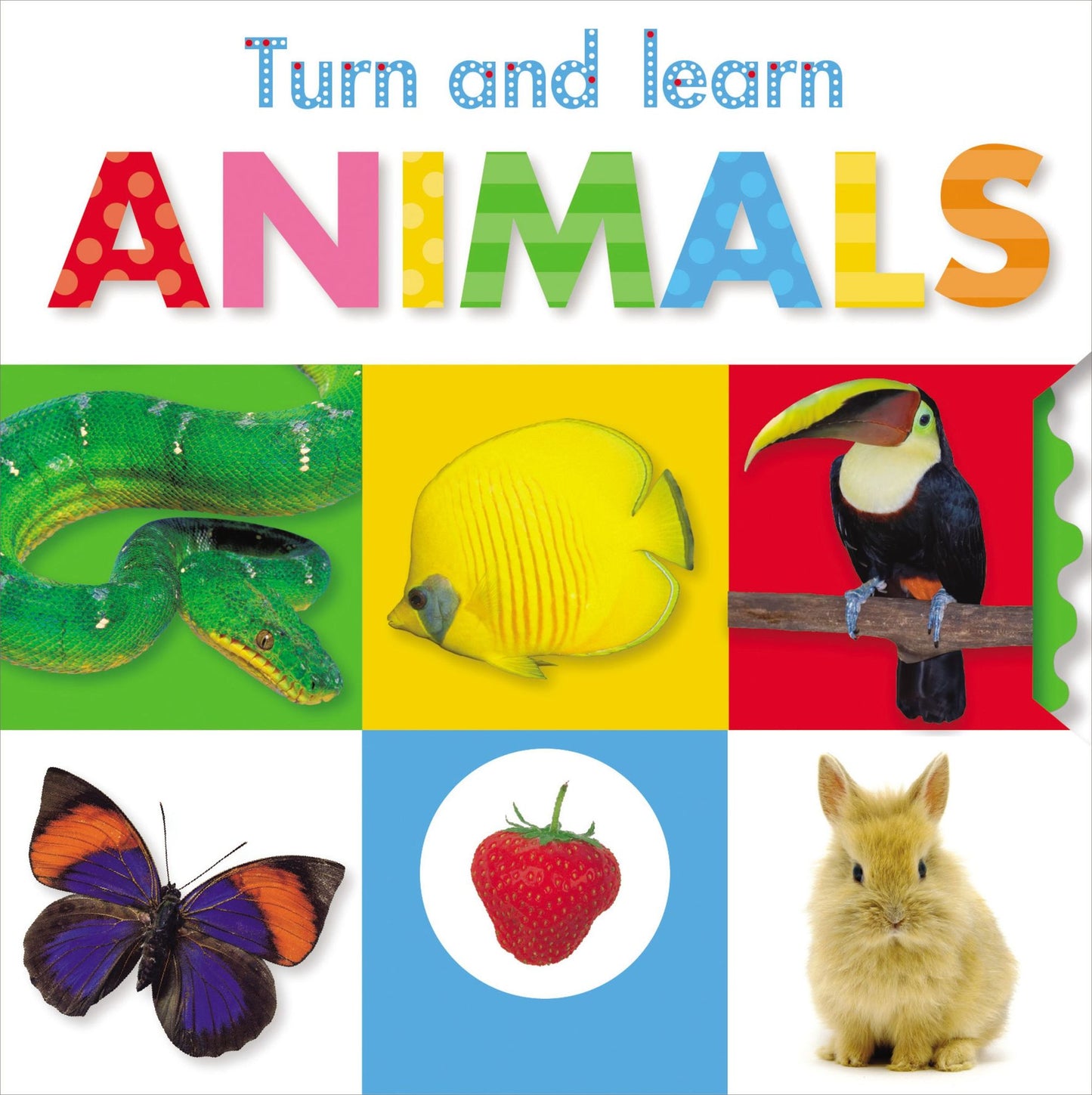 Turn and Learn: Animals