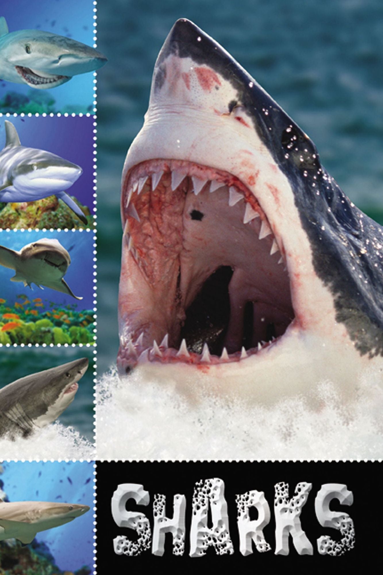 Sharks