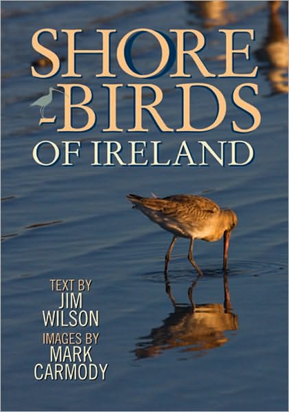Shorebirds of Ireland