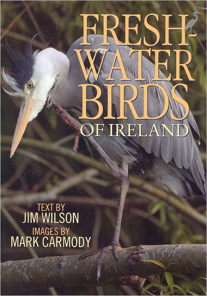 Freshwater Birds of Ireland