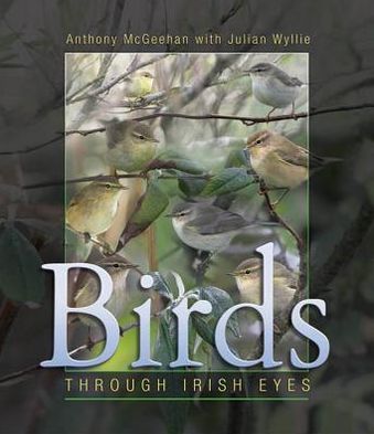 Birds: Through Irish Eyes