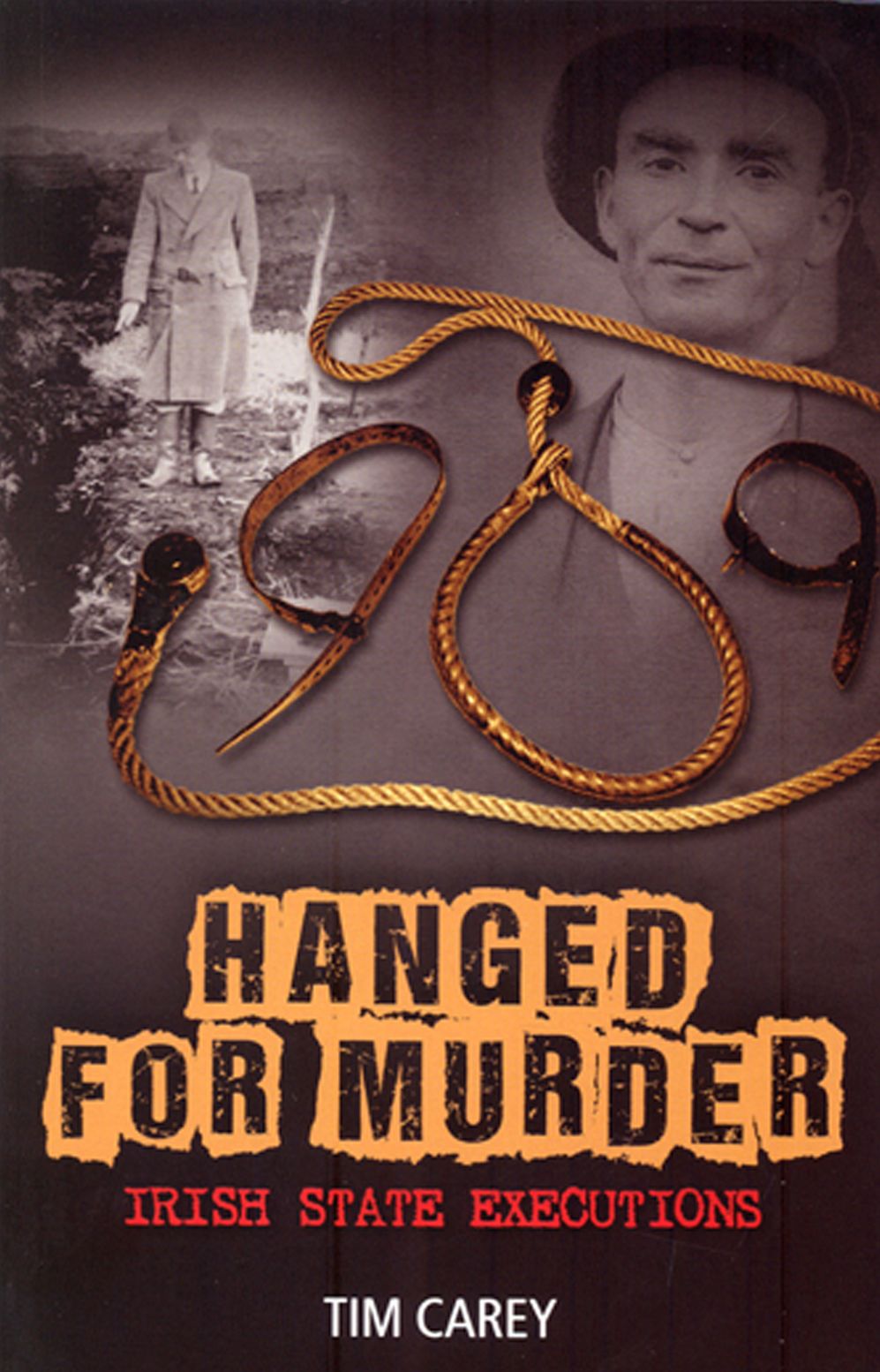 Hanged For Murder: Irish State Executions