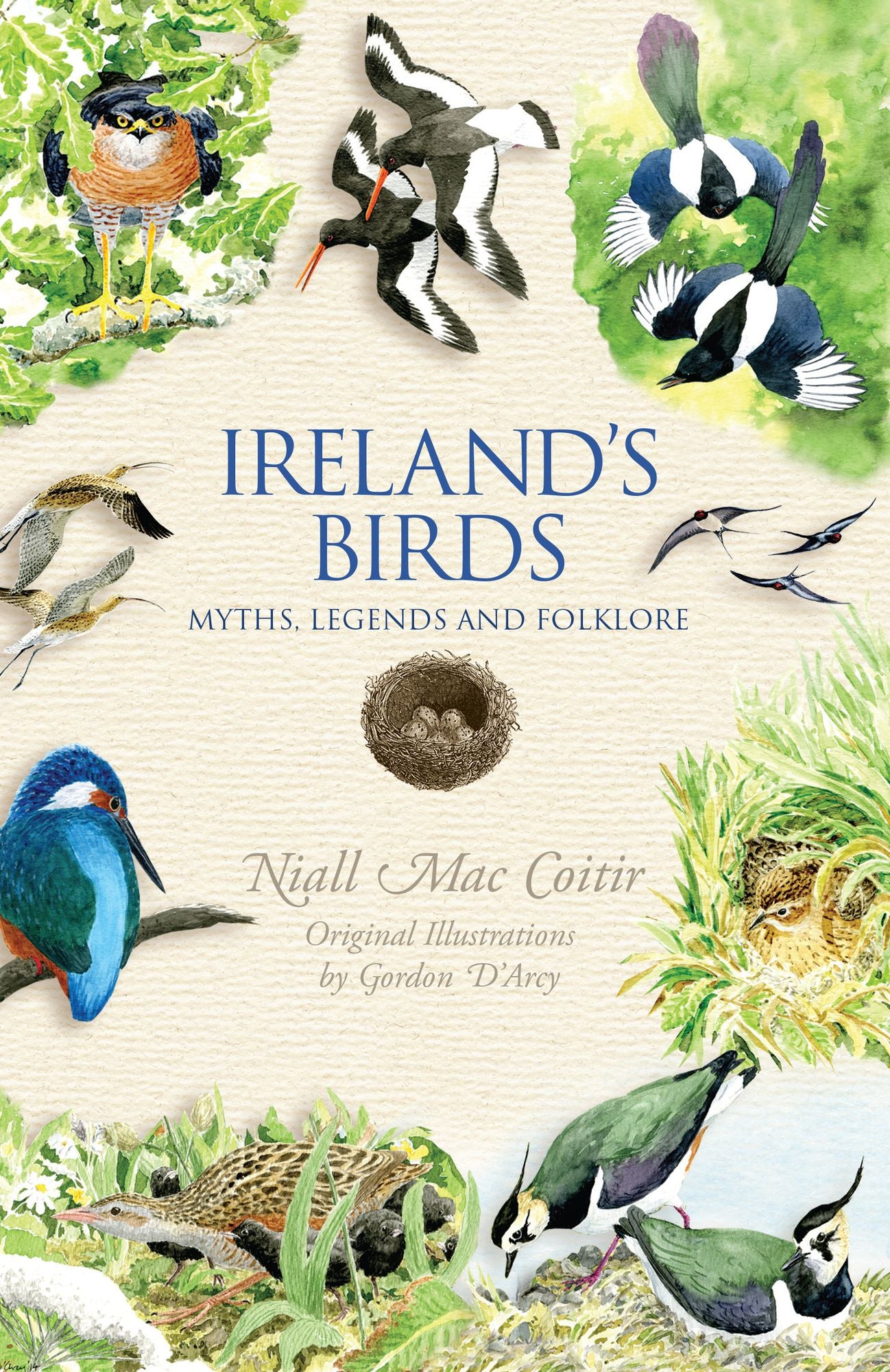 Ireland's Birds - Myths, Legends & Folklore