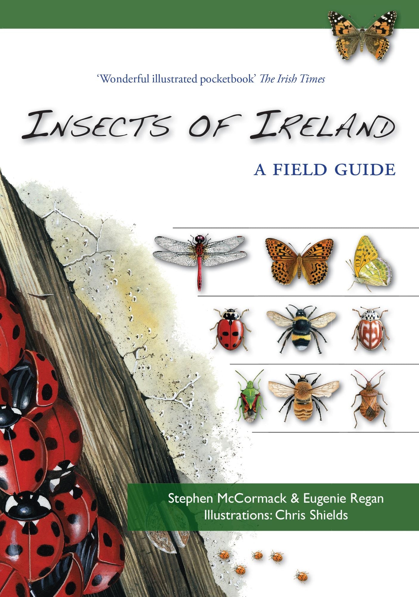 Insects of Ireland: An illustrated introduction to Ireland's common insect groups
