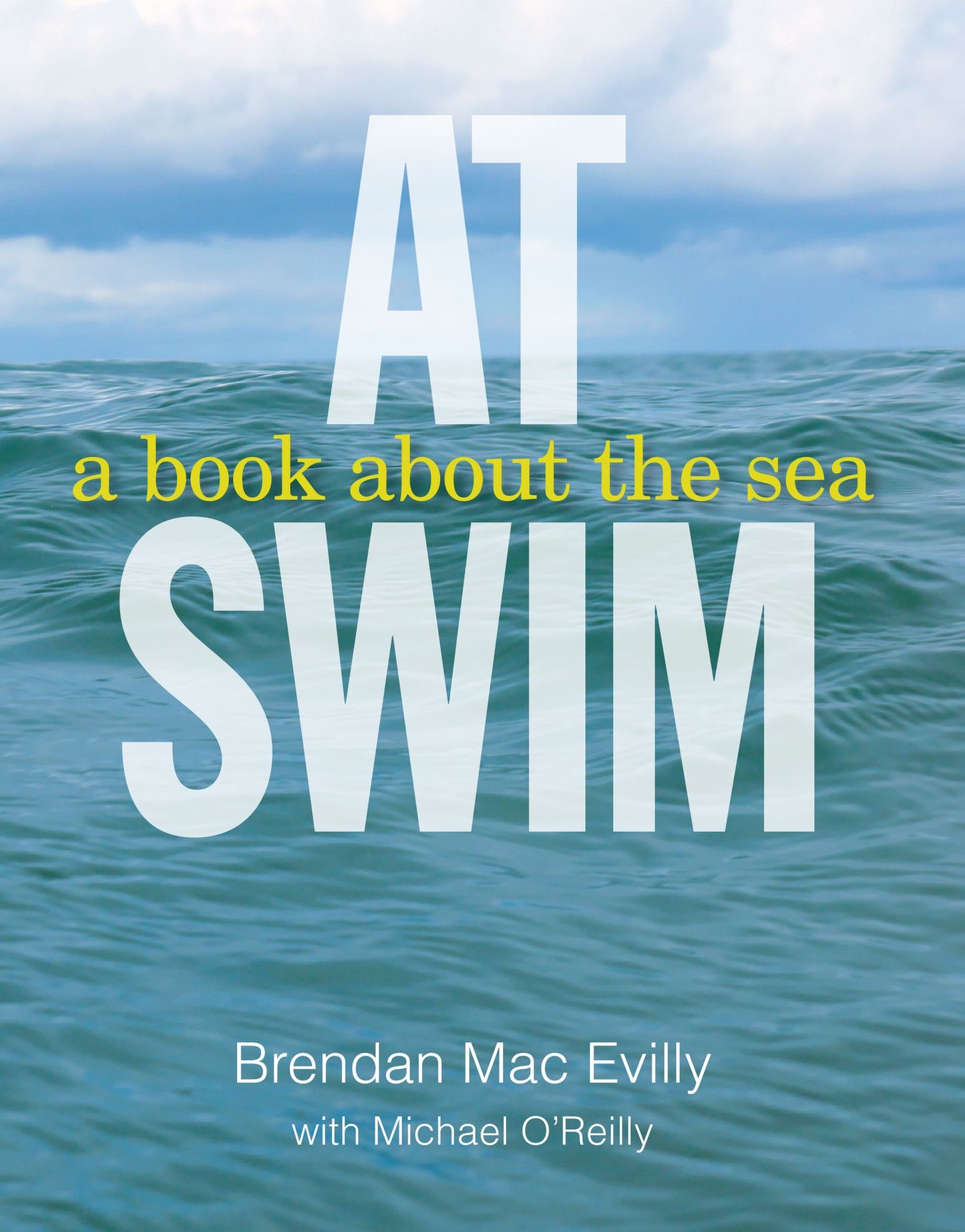 At Swim: A Book About the Sea