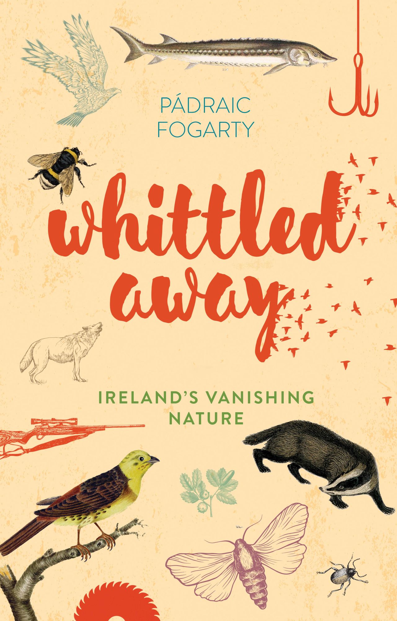 Whittled Away: Ireland's Vanishing Nature