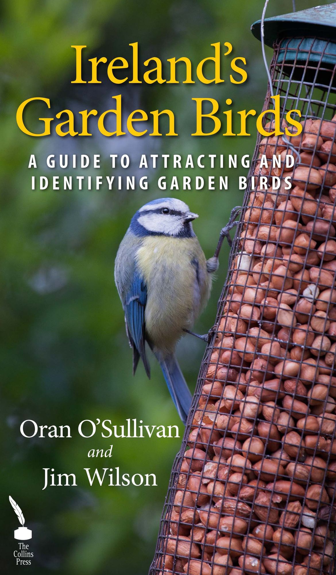 Ireland's Garden Birds: A Guide to Attracting and Identifying Garden Birds