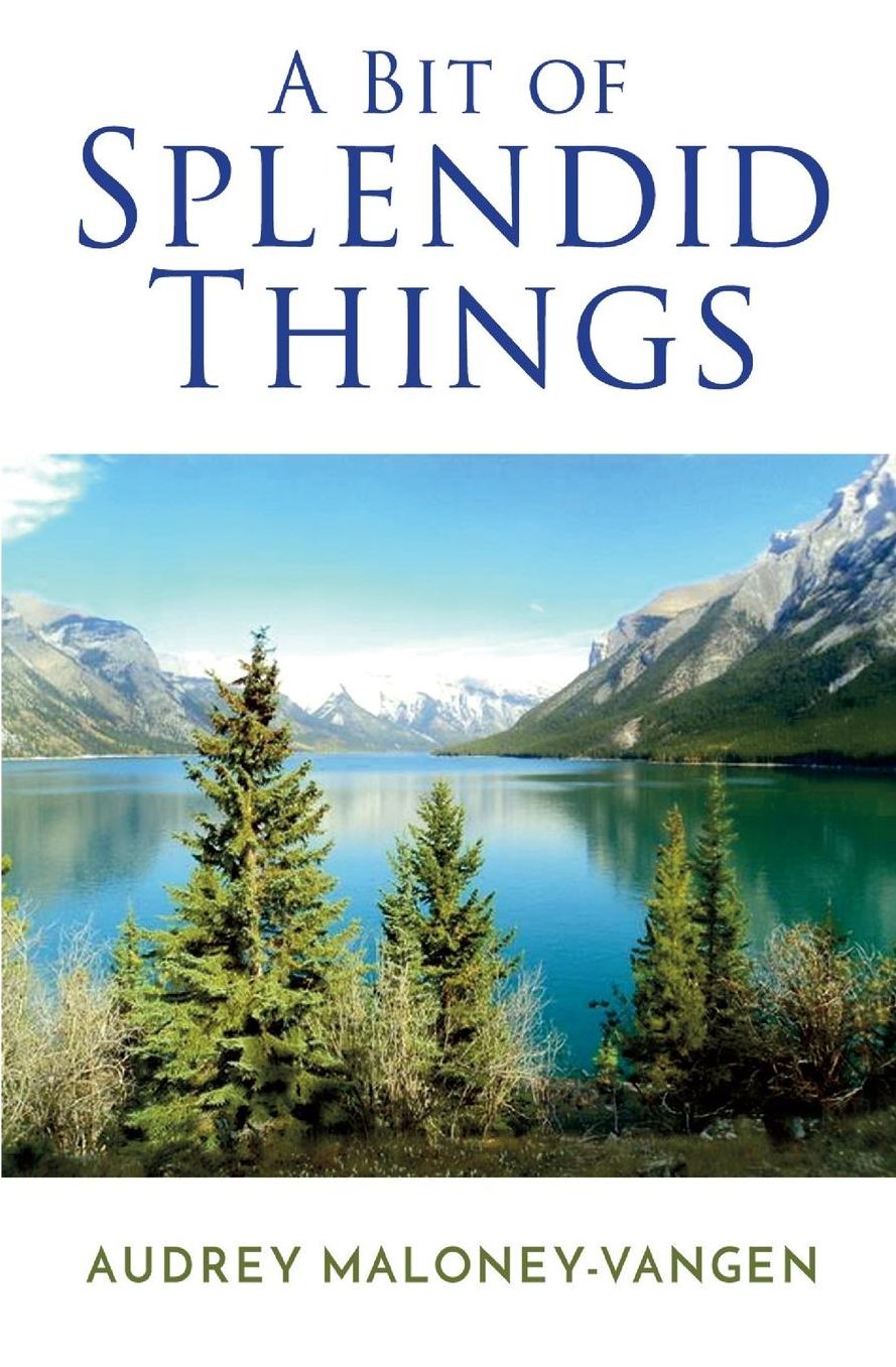 A Bit of Splendid Things