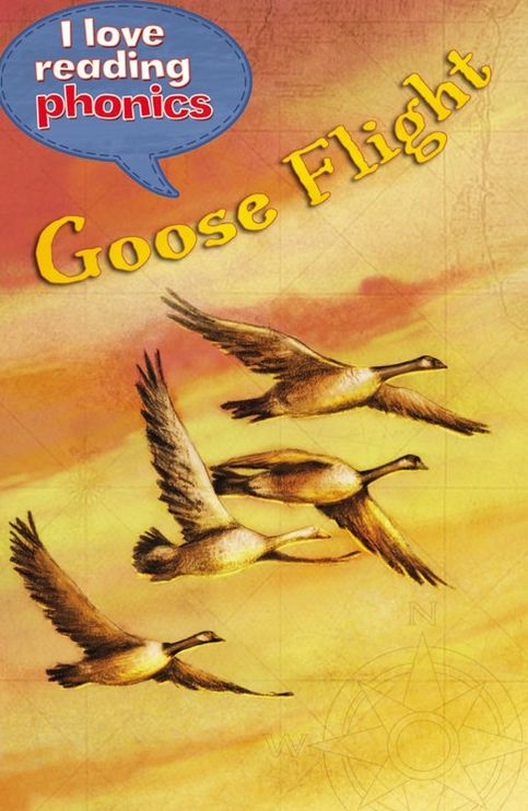 Goose Flight