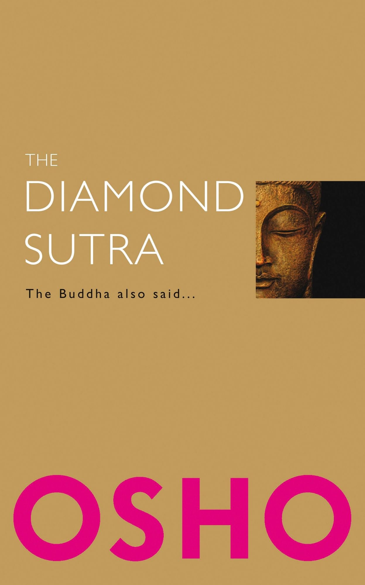 The Diamond Sutra: The Buddha also said...