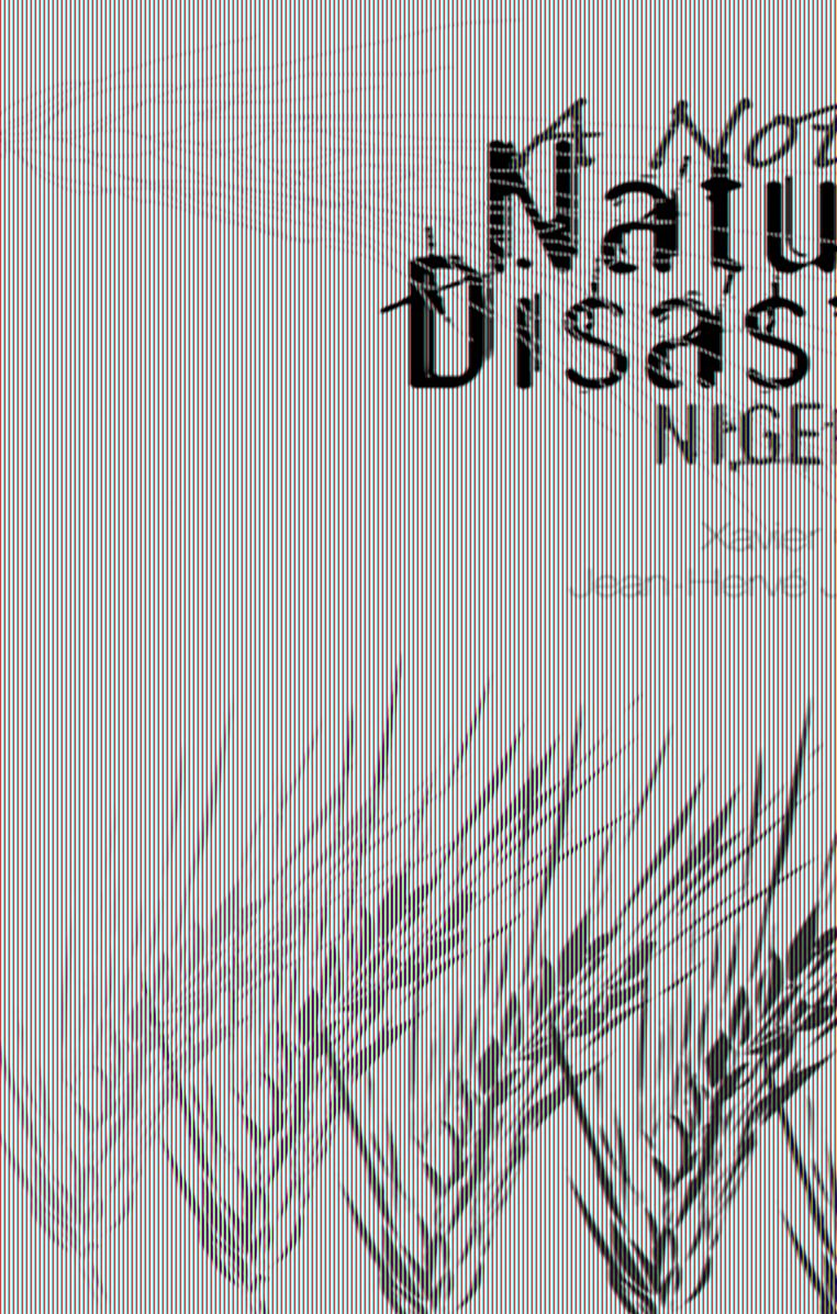 Not-So Natural Disaster: Niger 2005