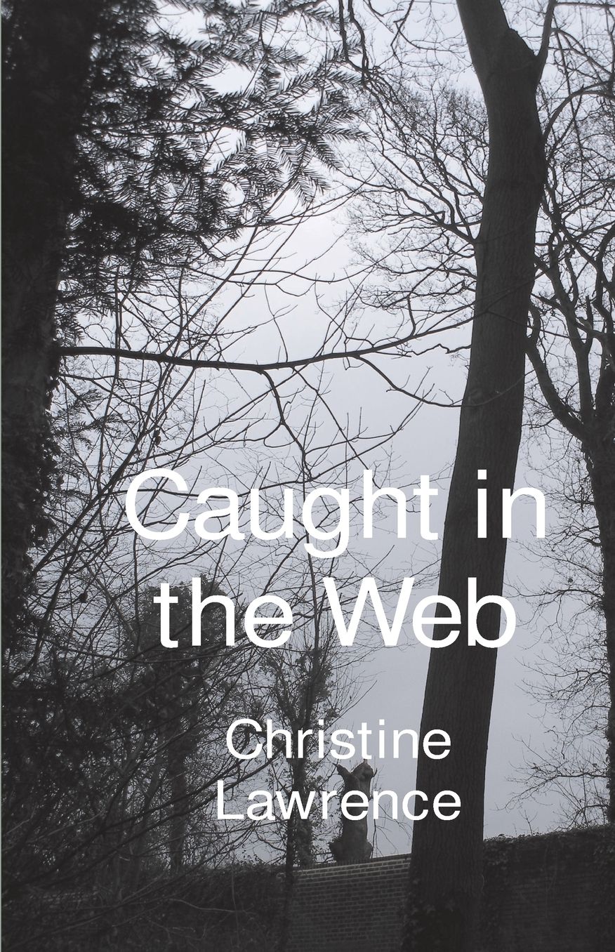 Caught In The Web