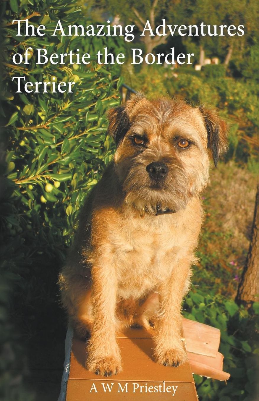 The Amazing Adventures of Bertie the Border Terrier