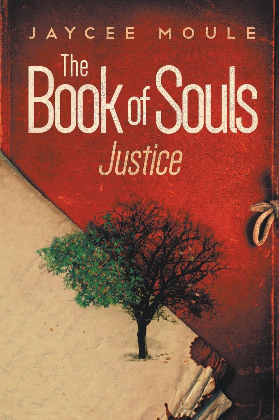 The Book of Souls - Justice