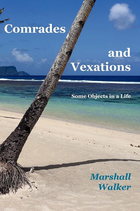 Comrades and Vexations: Some Objects in a Life