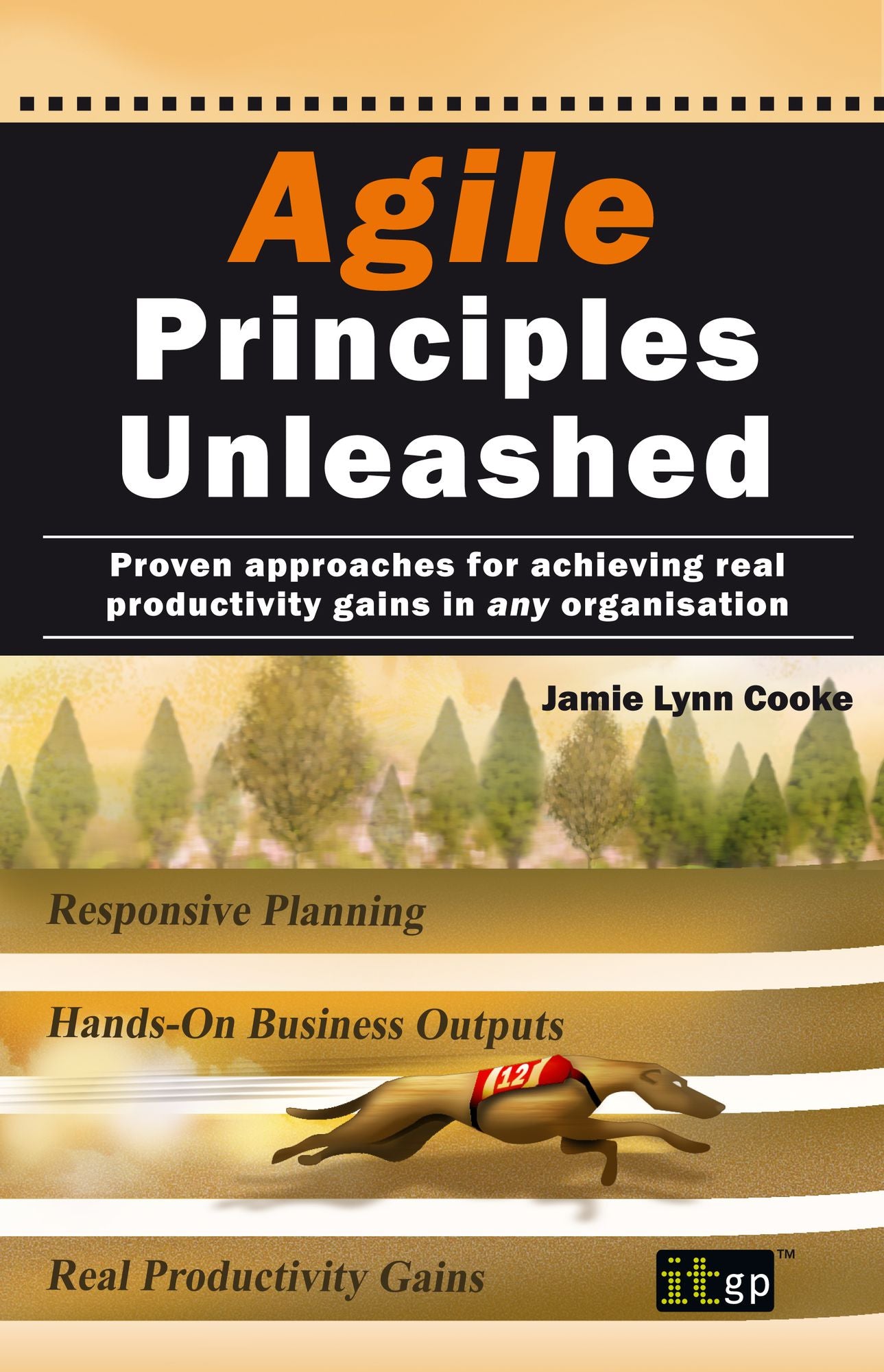 Agile Principles Unleashed: Proven approaches for achieving real productivity gains in any organisation