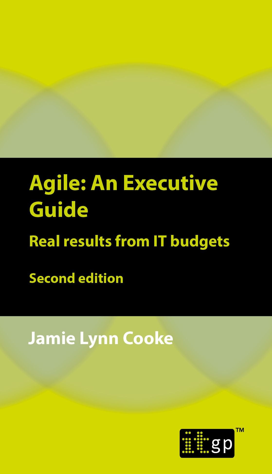 Agile: An Executive Guide: Real results from IT budgets