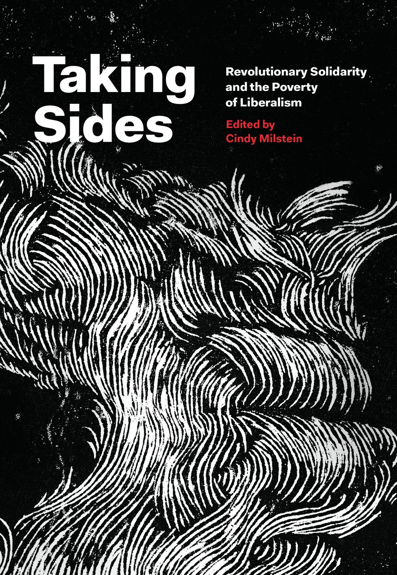 Taking Sides : Revolutionary Solidarity and the Poverty of Liberalism