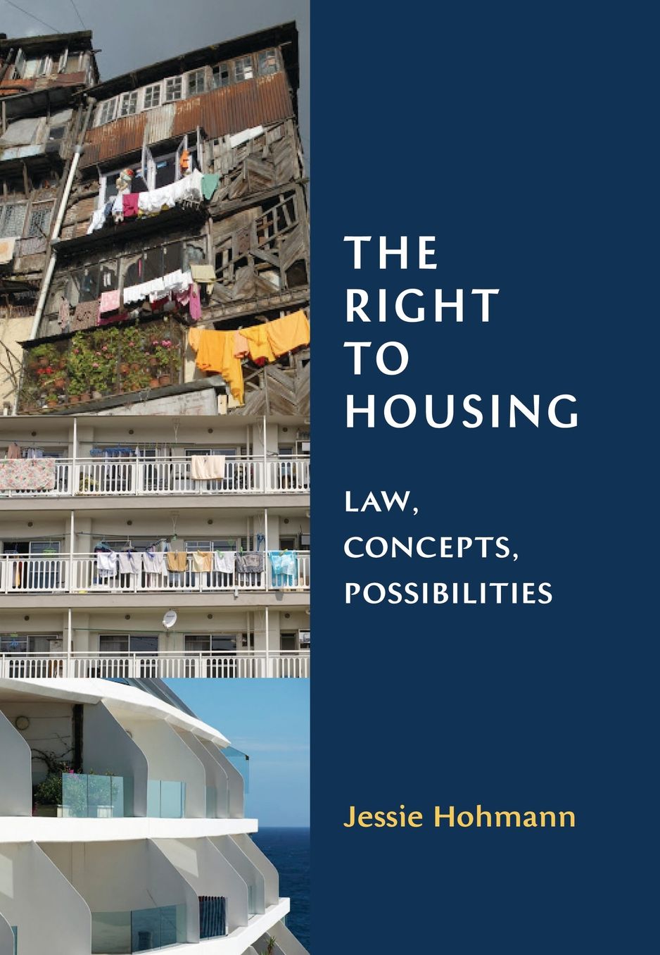 The Right to Housing: Law, Concepts, Possibilities