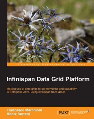 Infinispan Data Grid Platform