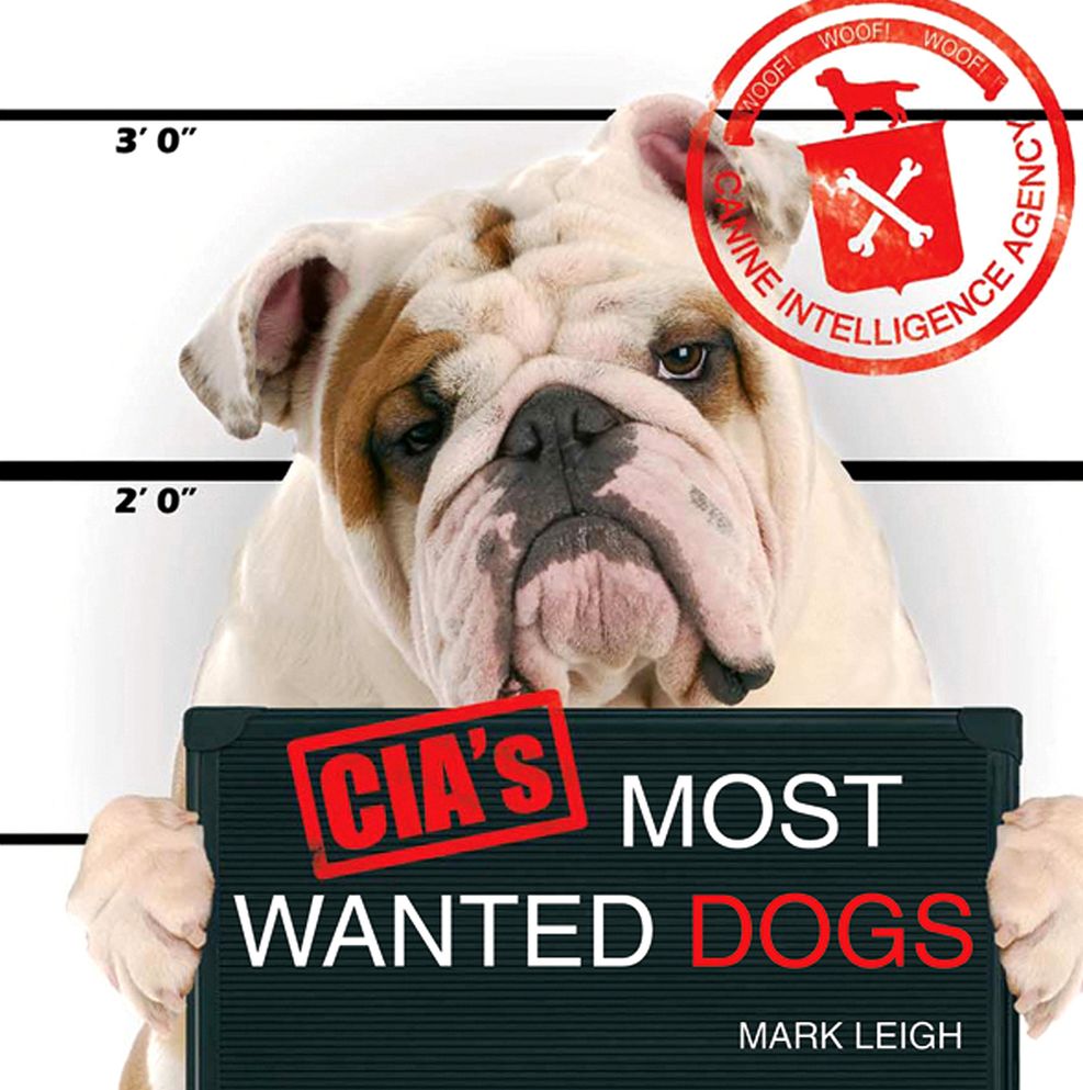 CIA's Most Wanted Dogs
