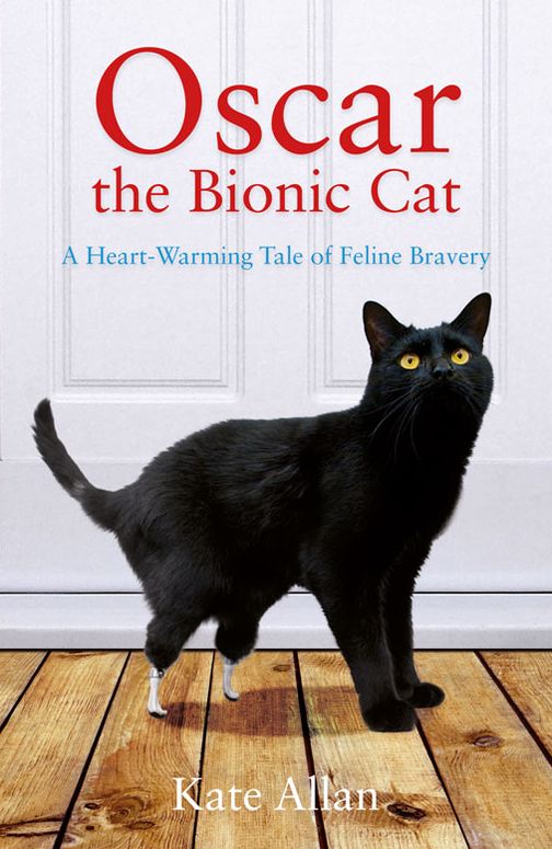 Oscar: The Bionic Cat