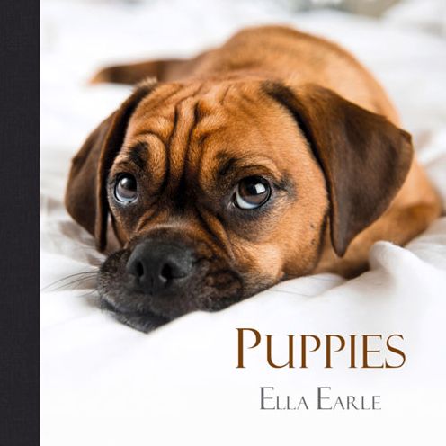 Puppies