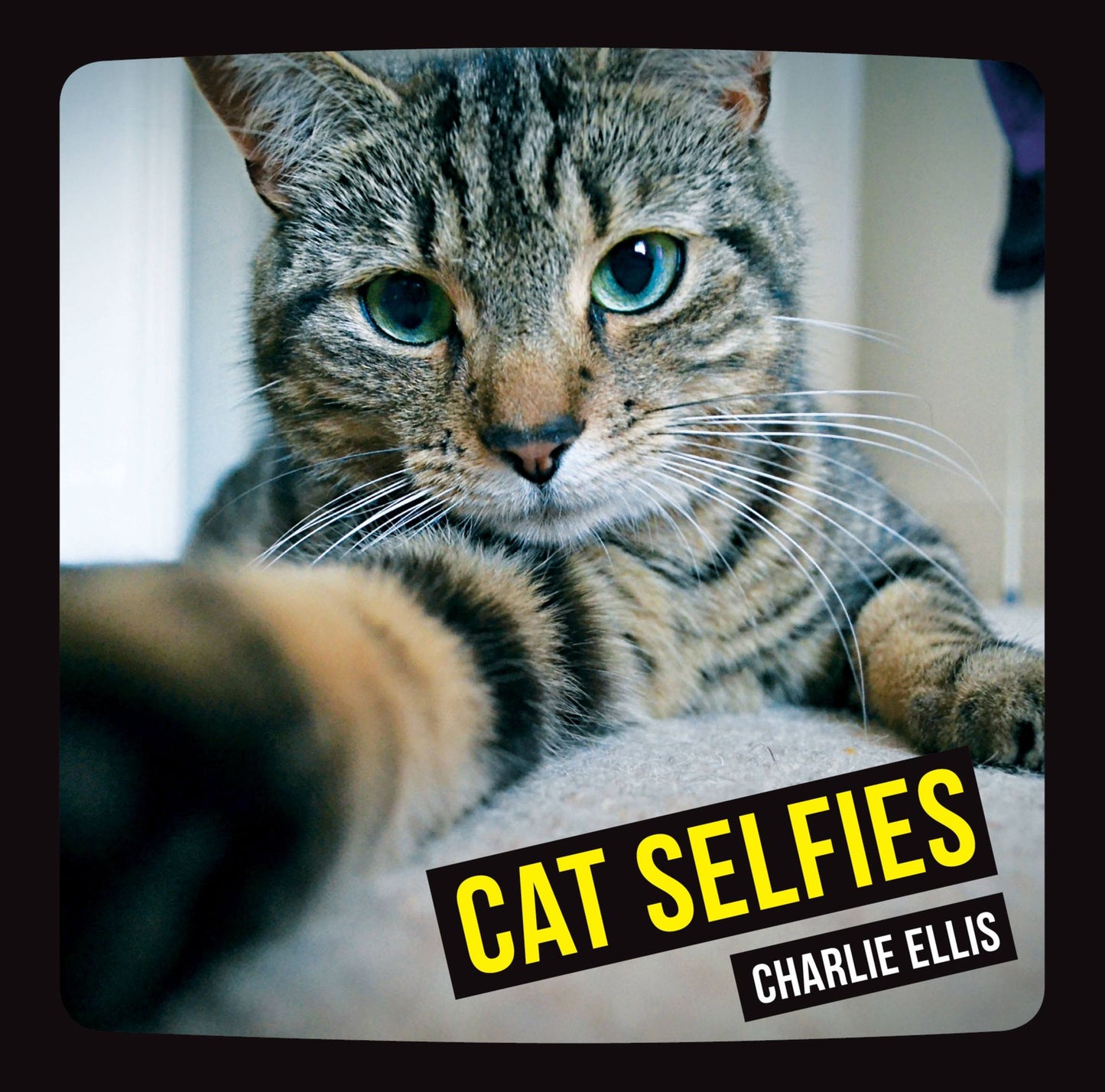 Cat Selfies