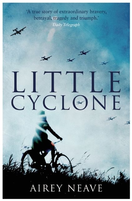 Little Cyclone