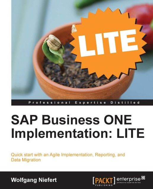 SAP Business ONE Implementation: LITE