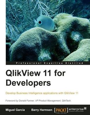 QlikView 11 for Developers